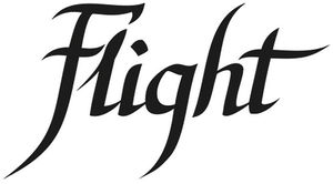 Flight company logo
