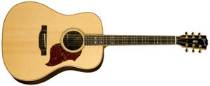 Gibson Acoustic