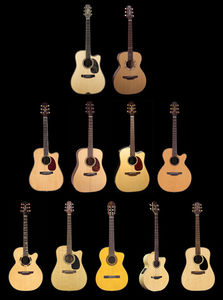 Takamine Guitars